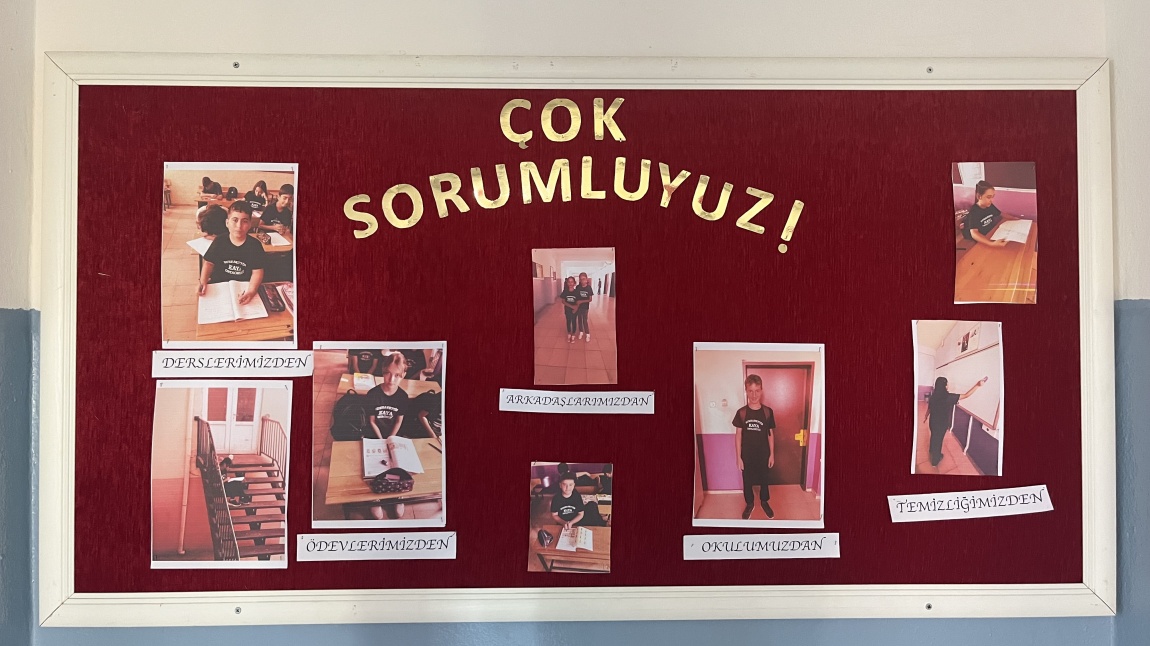 Ekim Ayı Değeri - Sorumluluk